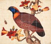 IXXI Temminck's Tragopan - Wanddecoratie - Dieren en insecten - 140 x 120 cm