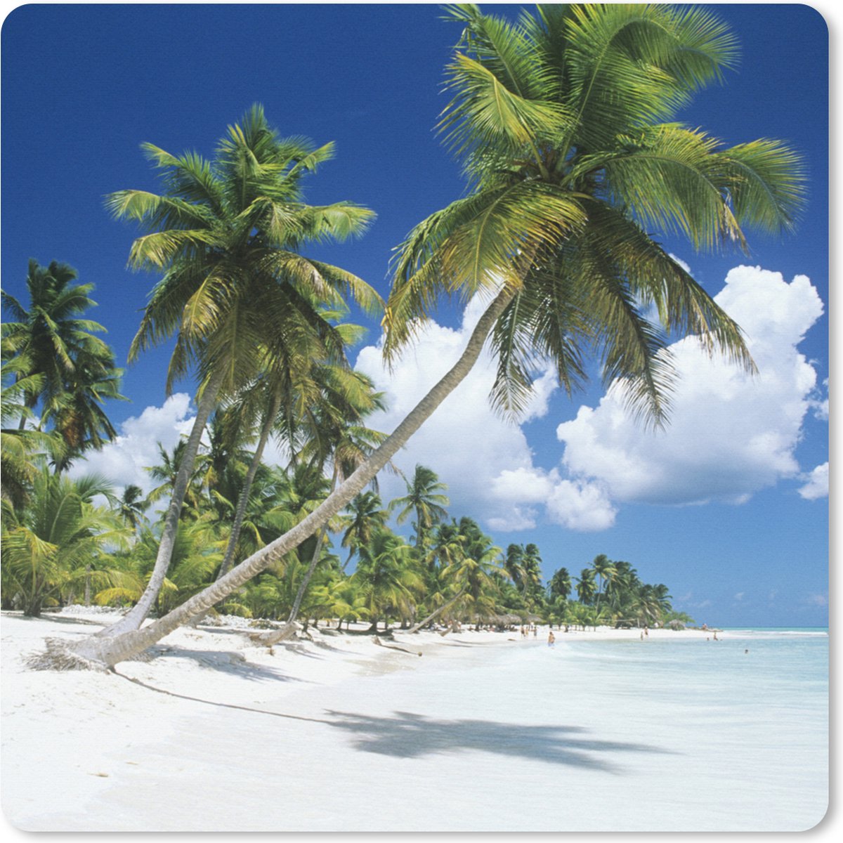Muismat XXL - Bureau onderlegger - Bureau mat - Felle zon op strand in Dominicaanse Republiek - 50x50 cm - XXL muismat