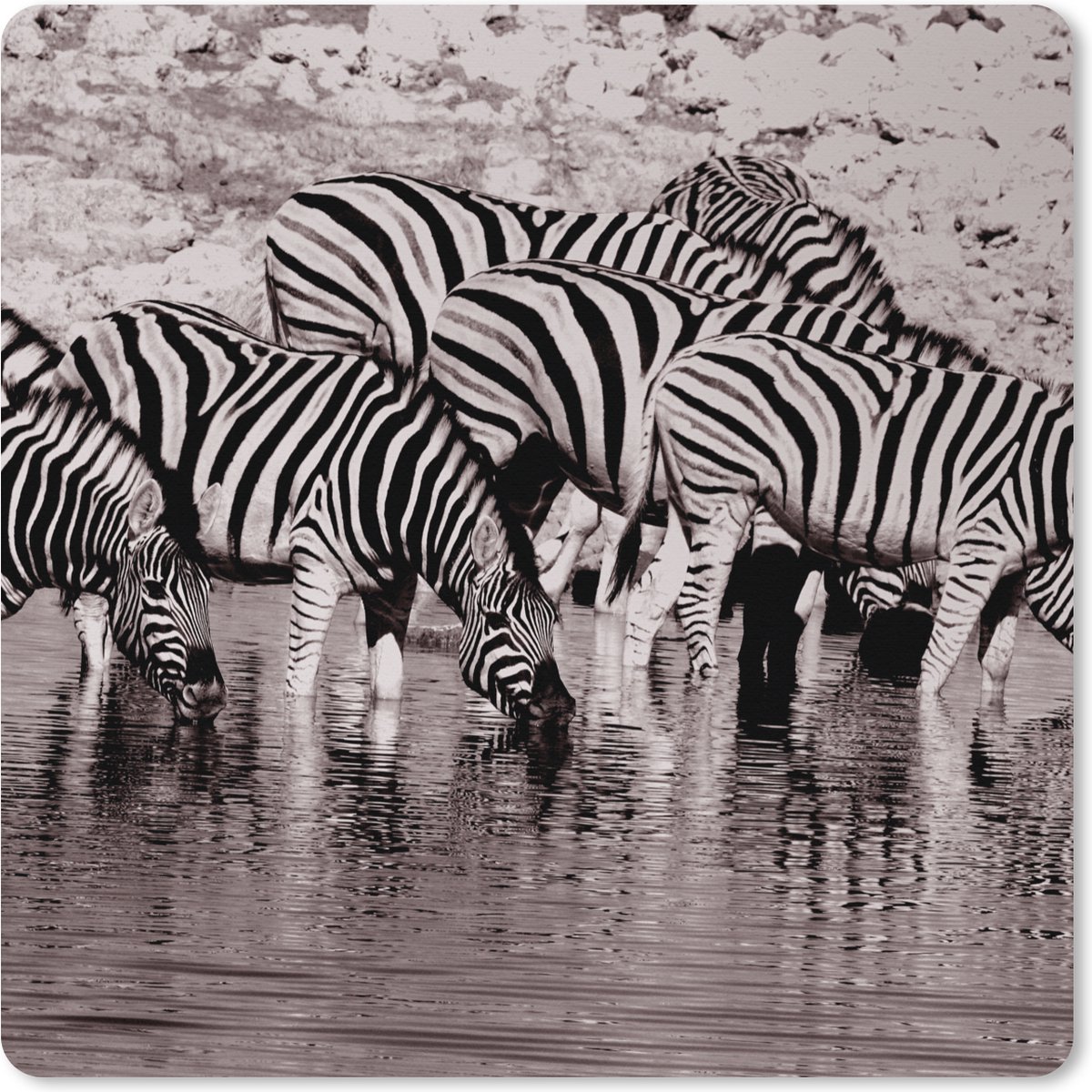 Muismat XXL 80x80 cm - Bureau onderlegger - Bureau mat Zebra's in het water - Bureaumat - Gaming mousepad xl - Bureaulegger groot - Computer deskmat