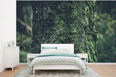Papier peint Papier peint photo en vinyle - Tronc d'arbre moussu largeur 295 cm x hauteur 220 cm - Tirage photo sur papier peint (disponible en 7 tailles)