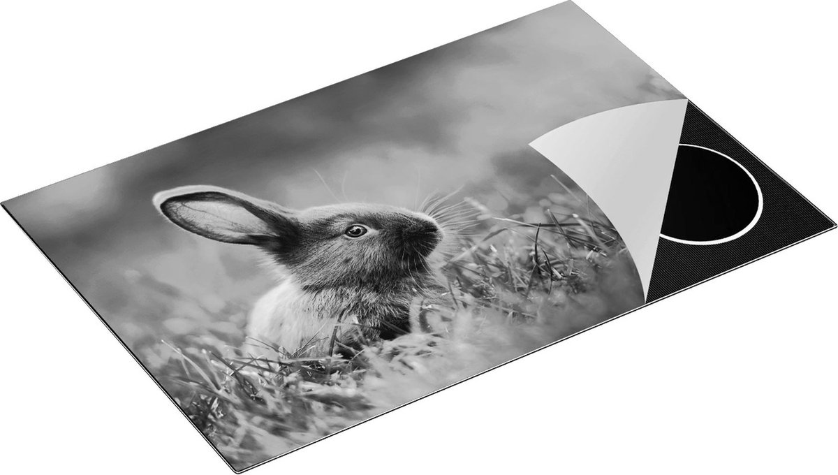 Chefcare Inductie Beschermer Konijn in het Gras - Zwart Wit - 80x52 cm - Afdekplaat Inductie - Kookplaat Beschermer - Inductie Mat