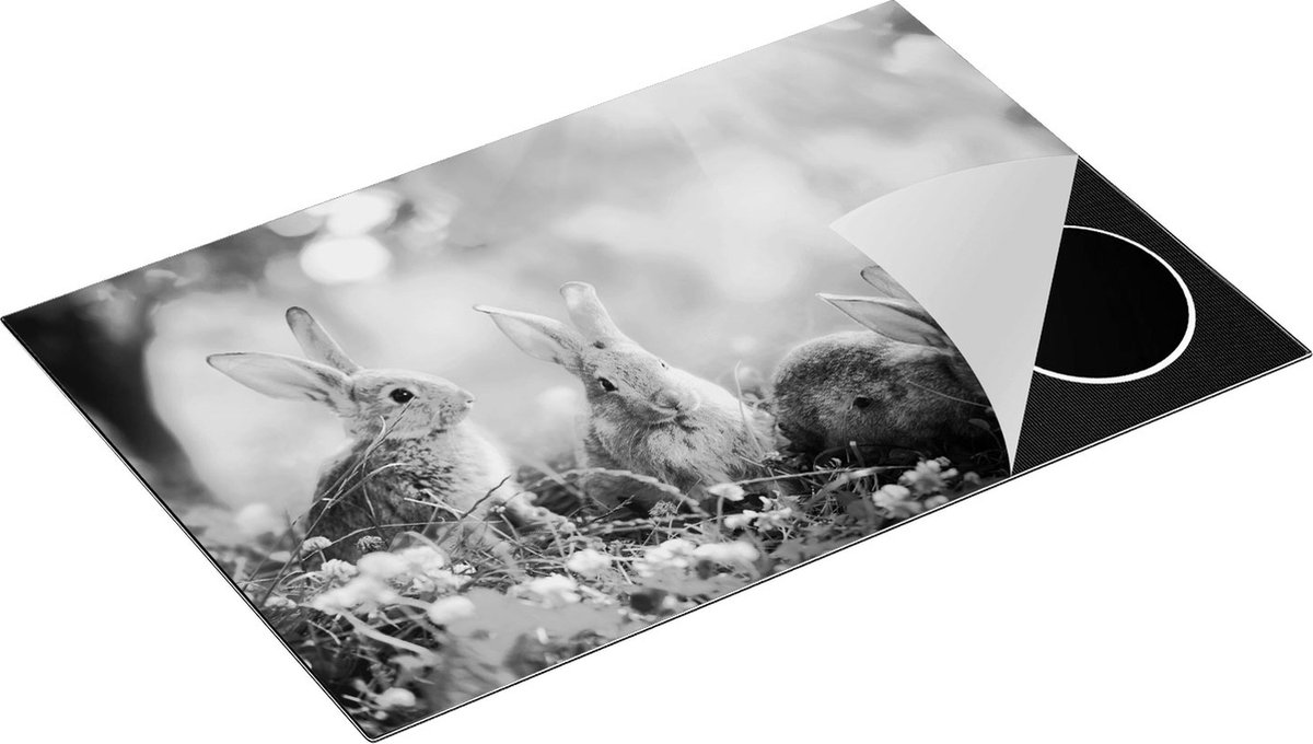 Chefcare Inductie Beschermer Drie Konijnen op het Gras bij Zonneschijn - Zwart Wit - 80,2x52,2 cm - Afdekplaat Inductie - Kookplaat Beschermer - Inductie Mat