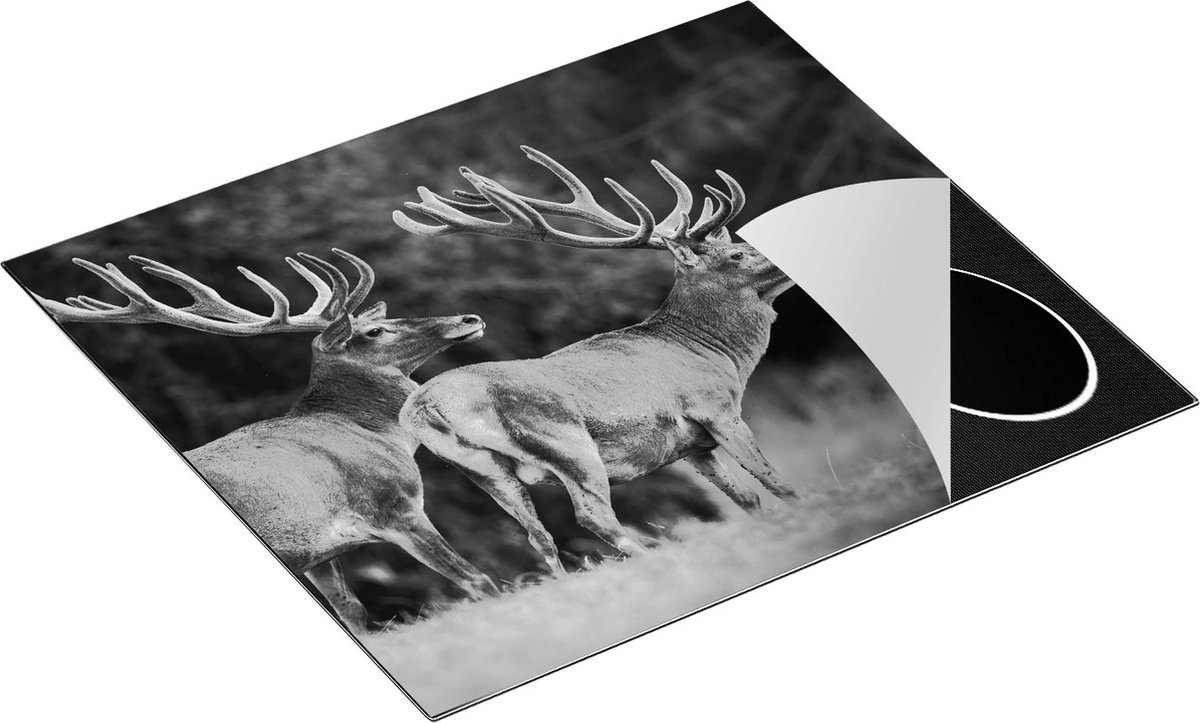 Chefcare Inductie Beschermer Twee Herten in het Bos met Grote Gewei - Zwart Wit - 60x55 cm - Afdekplaat Inductie - Kookplaat Beschermer - Inductie Mat