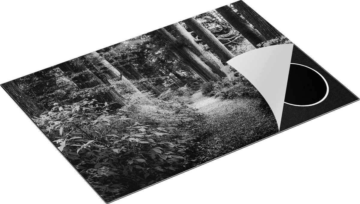 Chefcare Inductie Beschermer Voetpad in het Bos - Zwart Wit - 75x52 cm - Afdekplaat Inductie - Kookplaat Beschermer - Inductie Mat