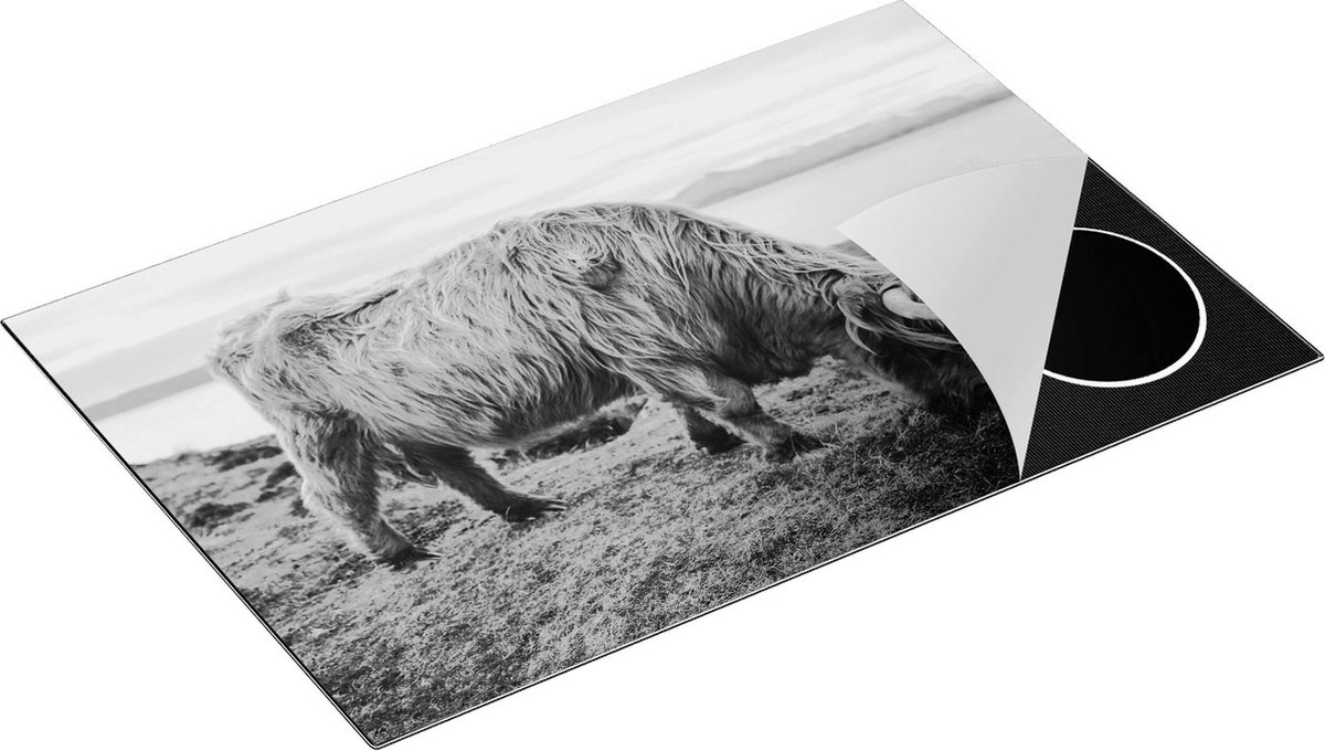 Chefcare Inductie Beschermer Schotse Hooglander Koe graast Gras aan het Water - Zwart Wit - 81,2x52 cm - Afdekplaat Inductie - Kookplaat Beschermer - Inductie Mat