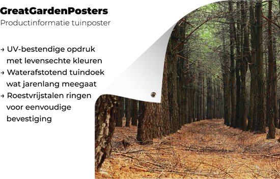 Affiche jardin - Automne - Forêt - Arbres - 40x30 cm - Décoration jardin - Affiche clôture - Toile jardin - Affiche extérieur