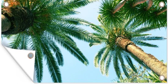 Tuinposter - Palm - Palmboom - Lucht - Bladeren - 60x30 cm - Tuinschilderij - Tuindoek
