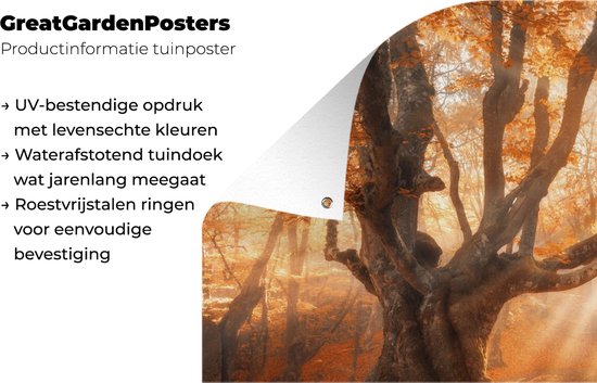 Jardin - Poster jardin - Arbre - Automne - Feuilles - 200x100 cm - Tableau jardin - Toile jardin - Poster extérieur