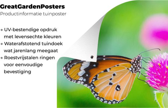 Affiche jardin - Papillon - Insectes - Fleurs - Fauna - Décoration de jardin - 40x60 cm - Toile jardin