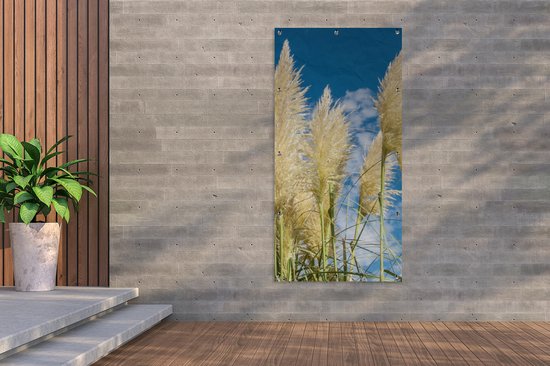 Affiche jardin - Pampa - Panaches d'herbe de pampa - Plante - Ciel - Blauw - 100x200 cm - Posters de jardin jardin - Jardin - Décoration murale - Décoration Décoration de jardin - Toile jardin - Affiche extérieure