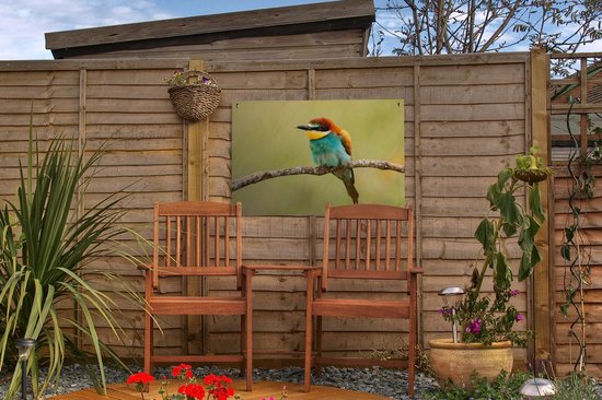 Affiche de Jardin Vogel - Guêpier - Animaux - 60x40 - Toile jardin - Affiche extérieure