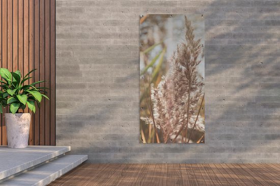 Affiche de jardin - Pampa - Plante de jardin d'herbe de pampa - Plante - Nature - Rose - 80x160 cm - Affiche de clôture - Jardin - Décoration murale - Décoration de jardin - Toile de jardin - Affiche d'extérieur