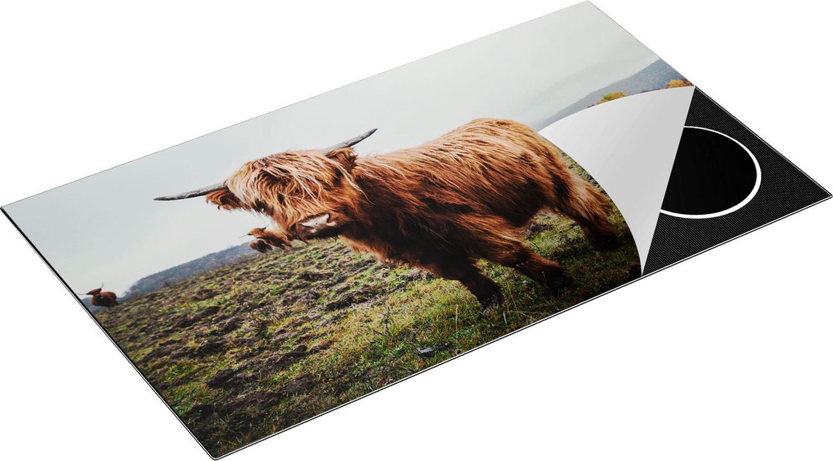 Chefcare Inductie Beschermer Schotse Hooglanders in het Veld - 91,2x52 cm - Afdekplaat Inductie - Kookplaat Beschermer - Inductie Mat