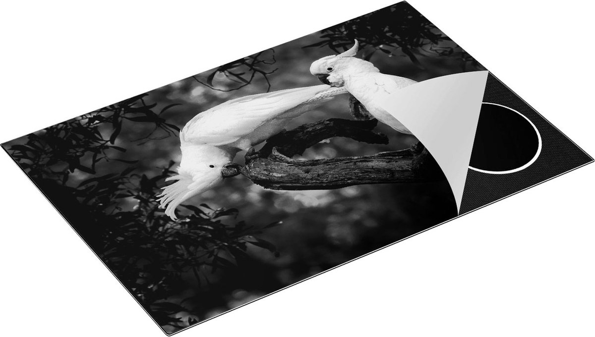 Chefcare Inductie Beschermer Twee Kaketoes in de Bomen - Zwart Wit - 80x52 cm - Afdekplaat Inductie - Kookplaat Beschermer - Inductie Mat