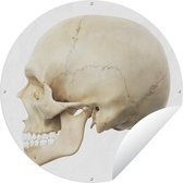 Tuincirkel Illustratie van schedel gemaakt door computer - 120x120 cm - Ronde Tuinposter - Buiten XXL / Groot formaat!