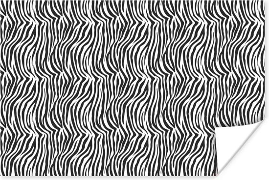 Affiche Animal Print - Zebra - Zwart - Wit - 60x40 cm