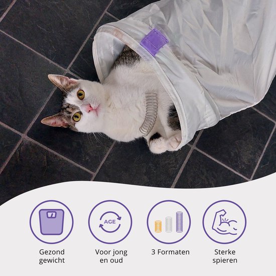 Pettadore Play Springs – Set van 9 Kattenveertjes – Kattenspeelgoed