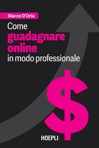 Come guadagnare online in modo professionale