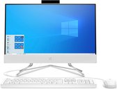 HP ALL-IN-ONE 24-df0027nb (BE)