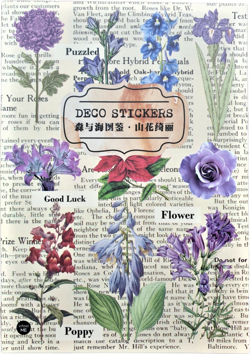 Stickerboek Deco Stickers 5 - Meer Leuks - Stickers voor o.a. bulletjournal, scrapbooking en kaarten maken