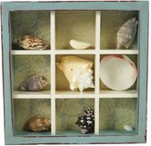 Plateau coquillage avec contenu, décoration plage, 22 x 22 cm.