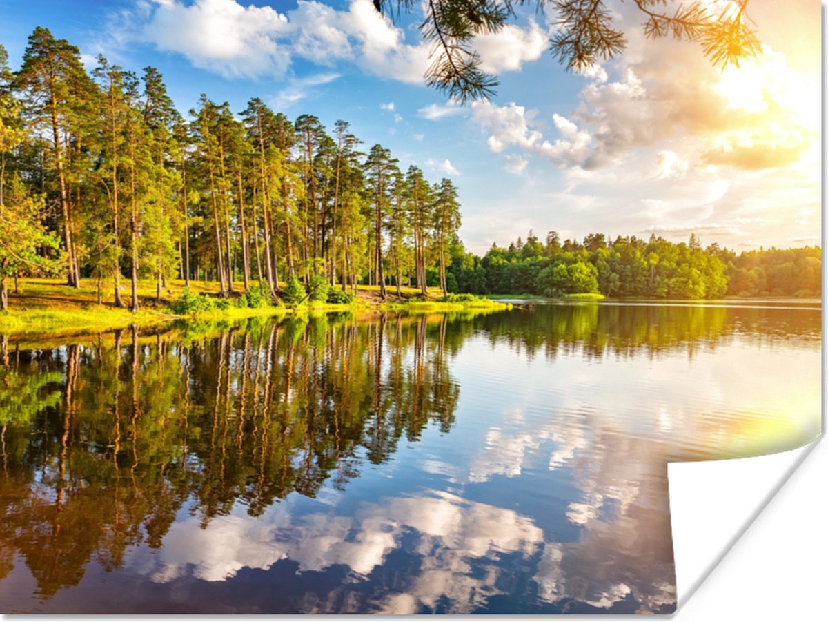 Poster Water - Bomen - Natuur - 120x90 cm
