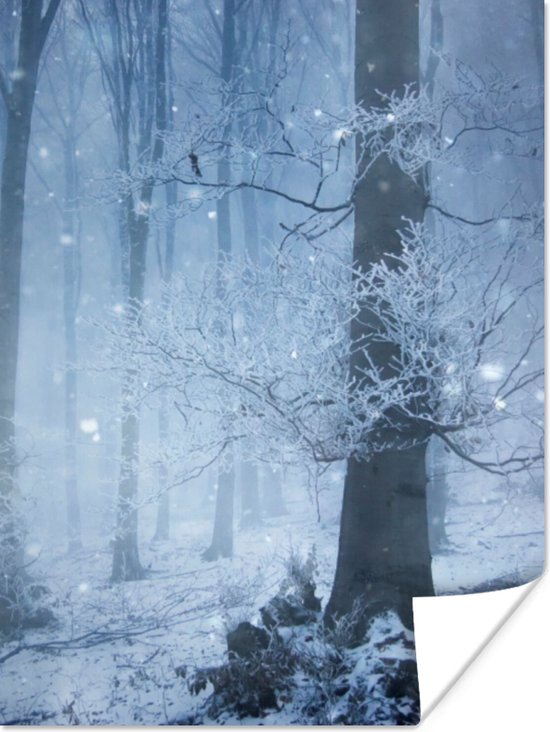 Affiche Forêt - Hiver - Neige - 30x40 cm