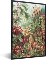 Cadre photo avec affiche - Fleurs - Art - Vintage - Nature - Botanique - 20x30 cm - Cadre pour affiche