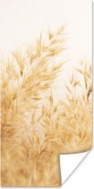 Poster Pampasgras - Zon - Gras - 20x40 cm