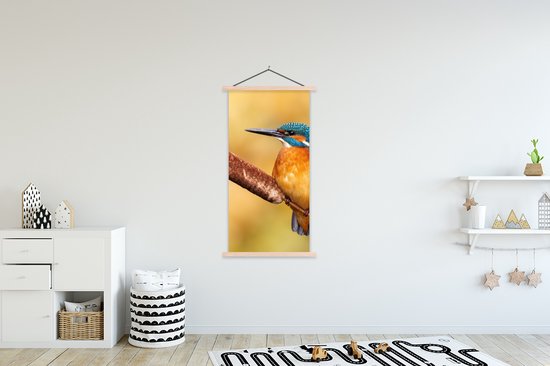 Porte-affiche avec affiche - Affiche scolaire - Martin-pêcheur - Nature - Vogel - 90x180 cm - Lattes vierges
