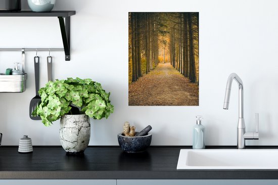 Affiche Chemin - Arbres - Forêt - 30x40 cm