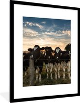 Fotolijst incl. Poster - Dieren - Koe - Koeien - 60x80 cm - Posterlijst