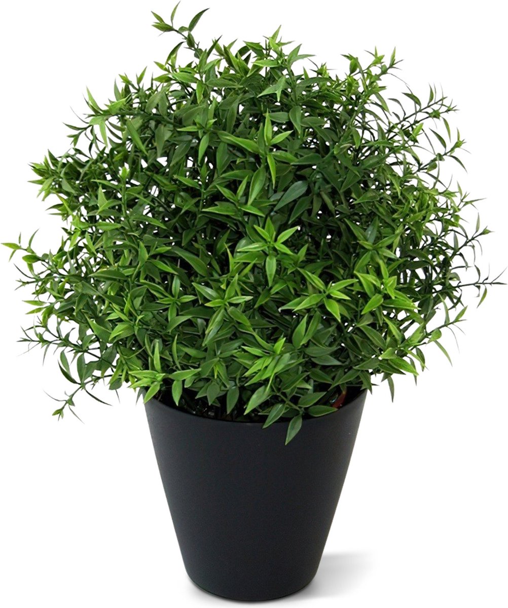 Eucalyptus kunstplant 35cm