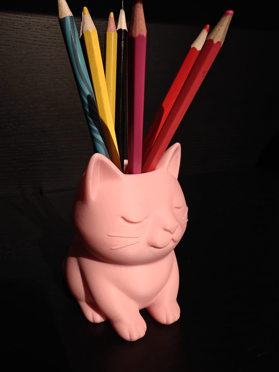 Pennenbak kind poes - knutselen - 3D geprint - knutselspul