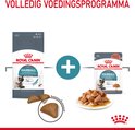 Vergelijking van Royal Canin Hairball Care droge brokjes en natvoer in saus, met een Siamees katje.