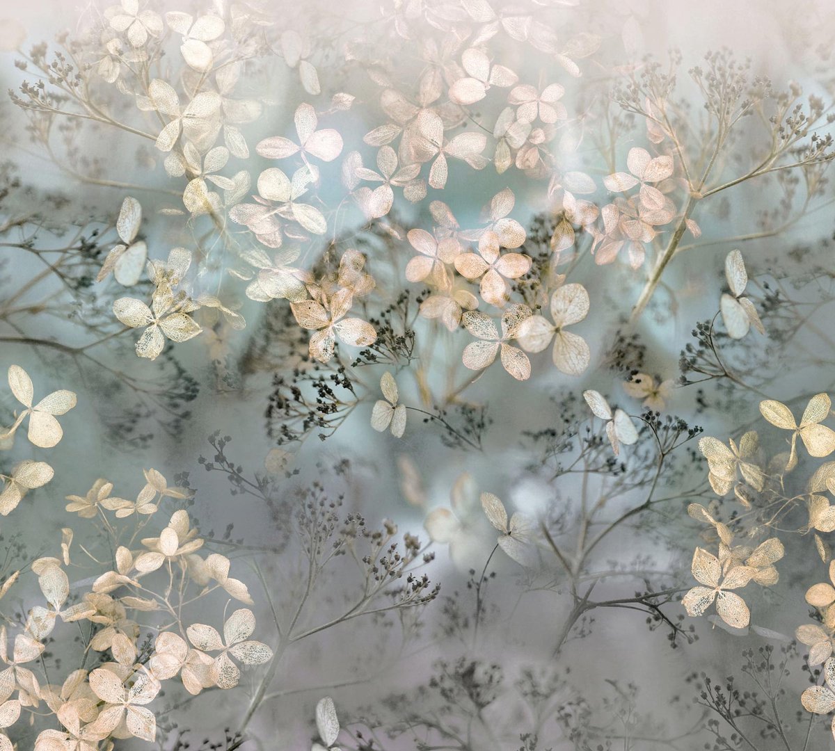 Bloemen behang beige / creme 2236-25 | Koop behang bij BRICOFLOR