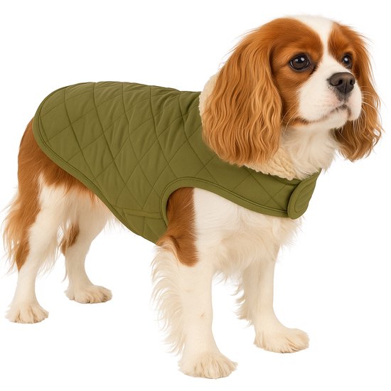 Manteau Flamingo pour chien Bonnie vert - Taille 40 cm (A : 40 cm, B : 34-40 cm, C : 54-60 cm) - Idéal pour Beagle, Bouledogue français, Cocker Spaniel, Shih Tzu & Jack Russell Terrier