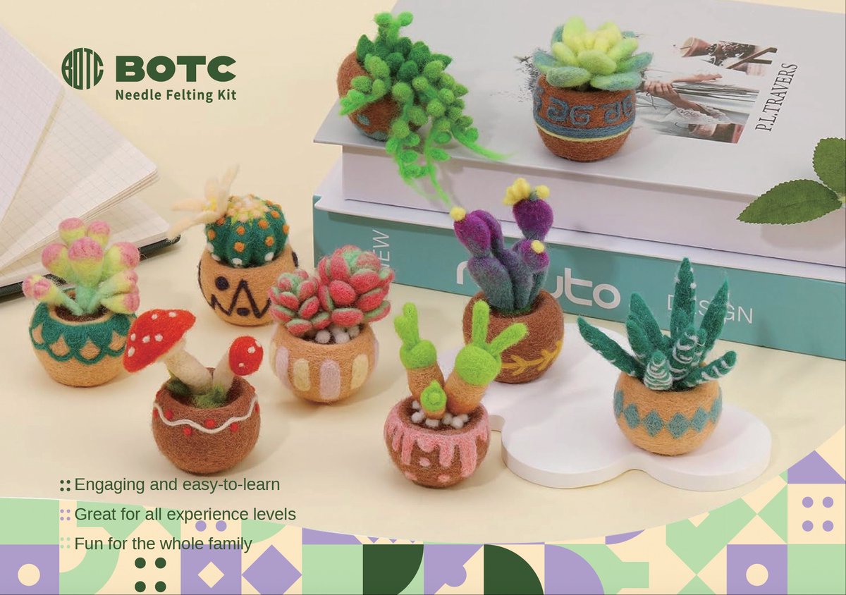 BOTC Naaldvilten - Starterset - Needle felting - Instructie inbegrepen - Gekaarde wol - Viltnaalden - Vetplanten — afbeelding 7