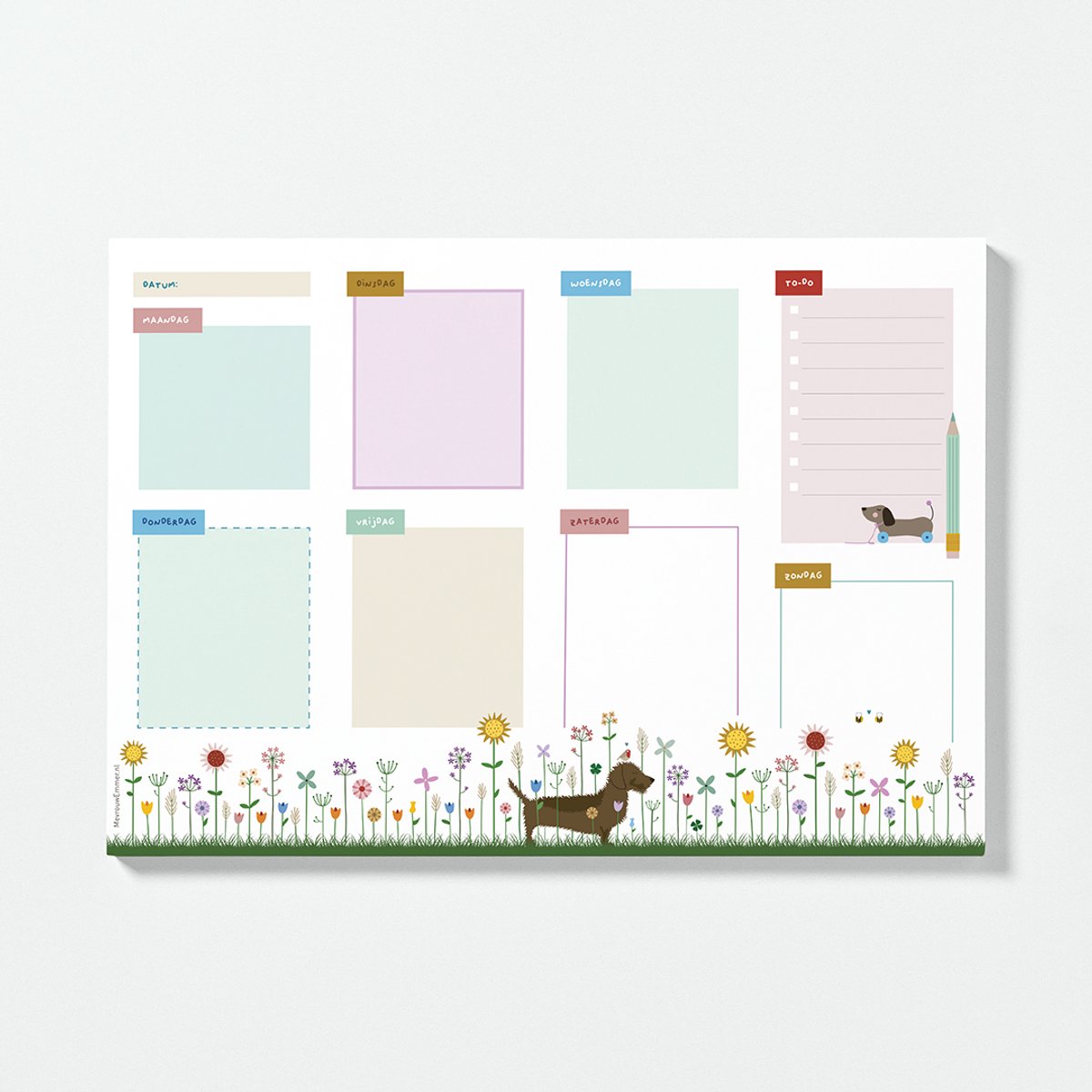 Weekplanner A4 zonder datum - teckel hond illustratie - weekoverzicht met notitieruimte - 50 vel