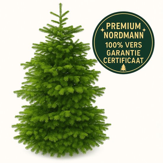 Plant&More - Nordmann Kerstboom 210-240 cm - Zonder Kluit
