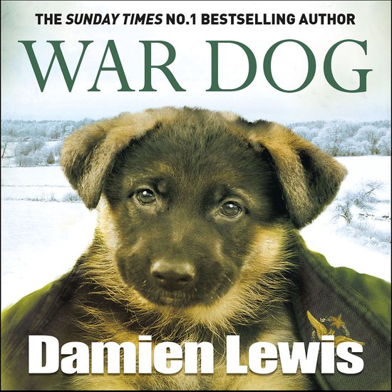 War Dog - cover