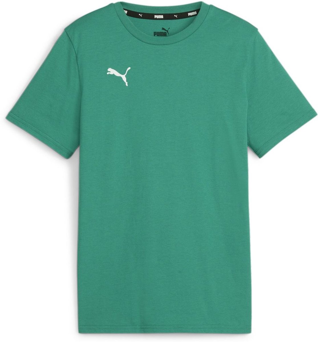 Puma Kinder Shirt TeamGoal CasuaLongsleeve Tee Jr 658616 Sport -Puma -140 Groen