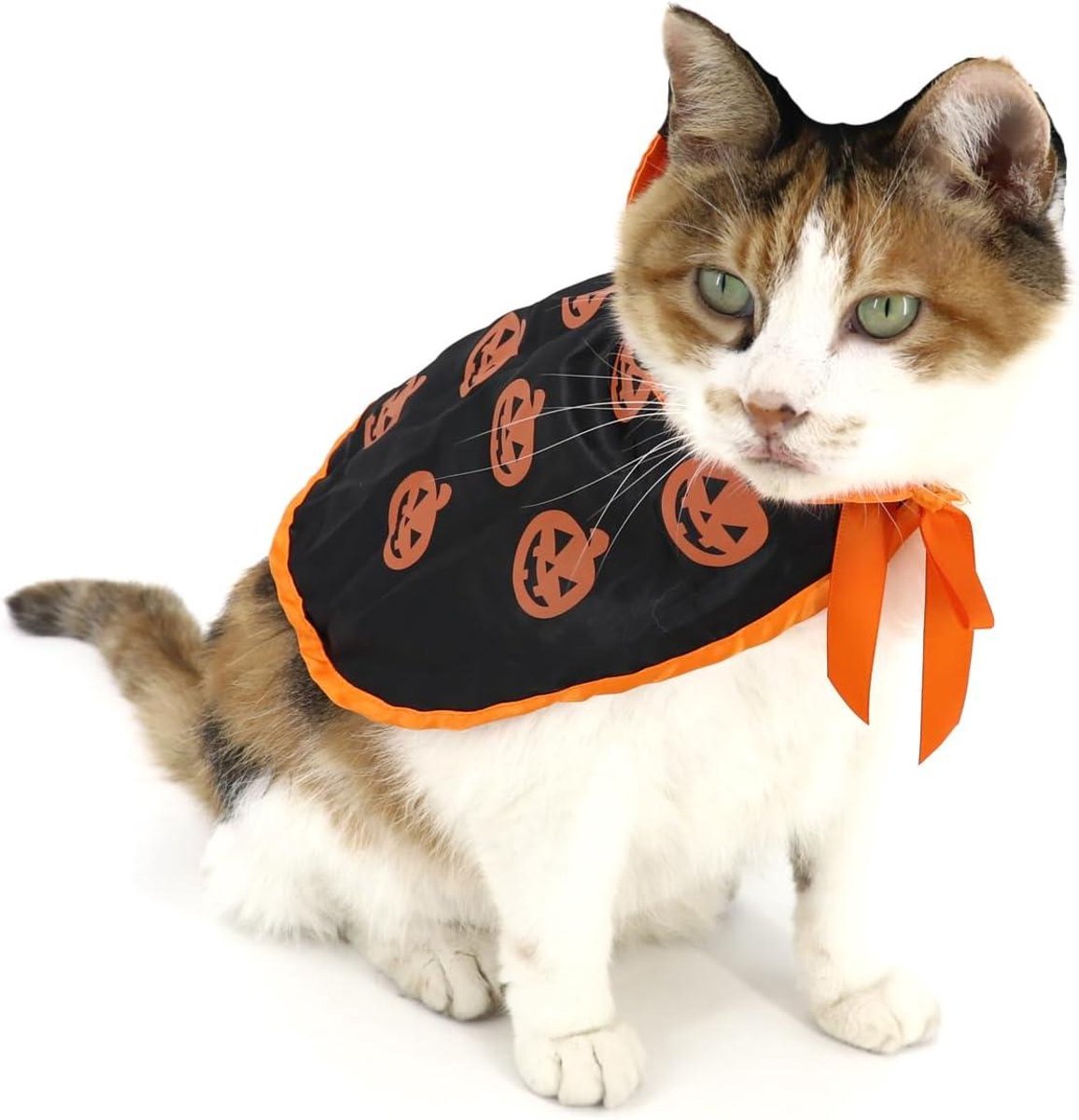 Daity Halloween-pompoencape voor huisdieren, cosplaycape voor katten en kleine honden, Halloween-kostuumset voor huisdieren