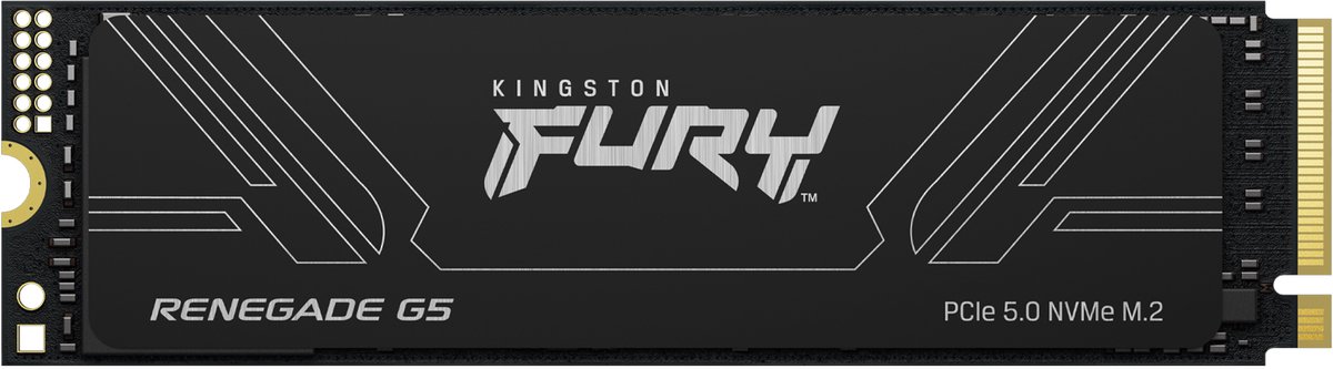 Kingston Technology 8T FURY RENEGADE G5 M.2 2280 NVMe SSD
