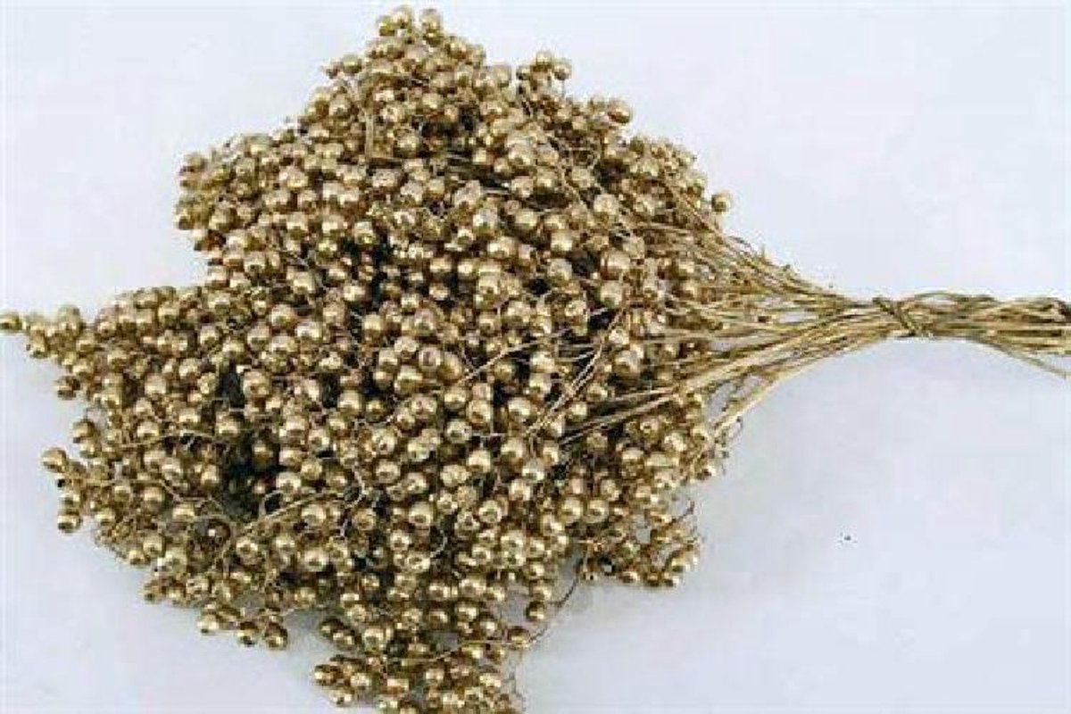 10x Dc pepper berry goud