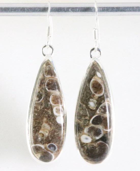 Longues boucles d'oreilles argentées avec agate turitella