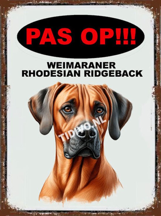 Weimaraner Rhodesian Ridgeback 17 - Met 4 Gaatjes + 4 Pluggen + 4 RVS ...