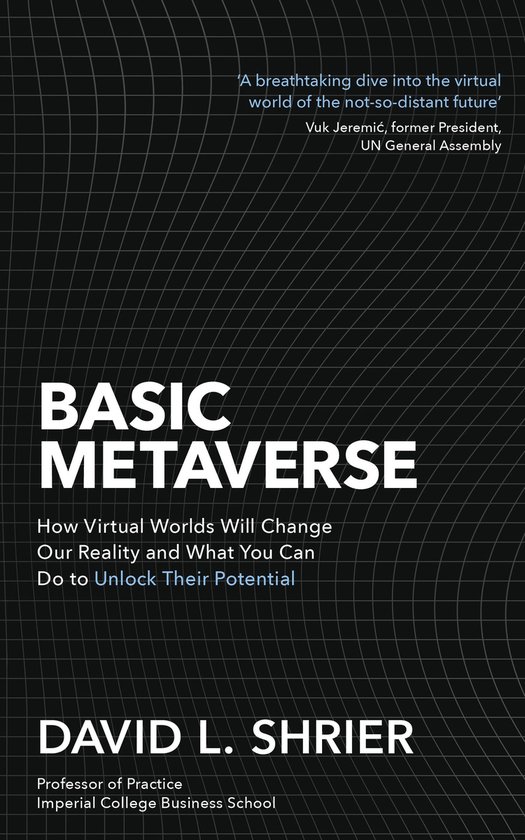 Basic Metaverse - cover