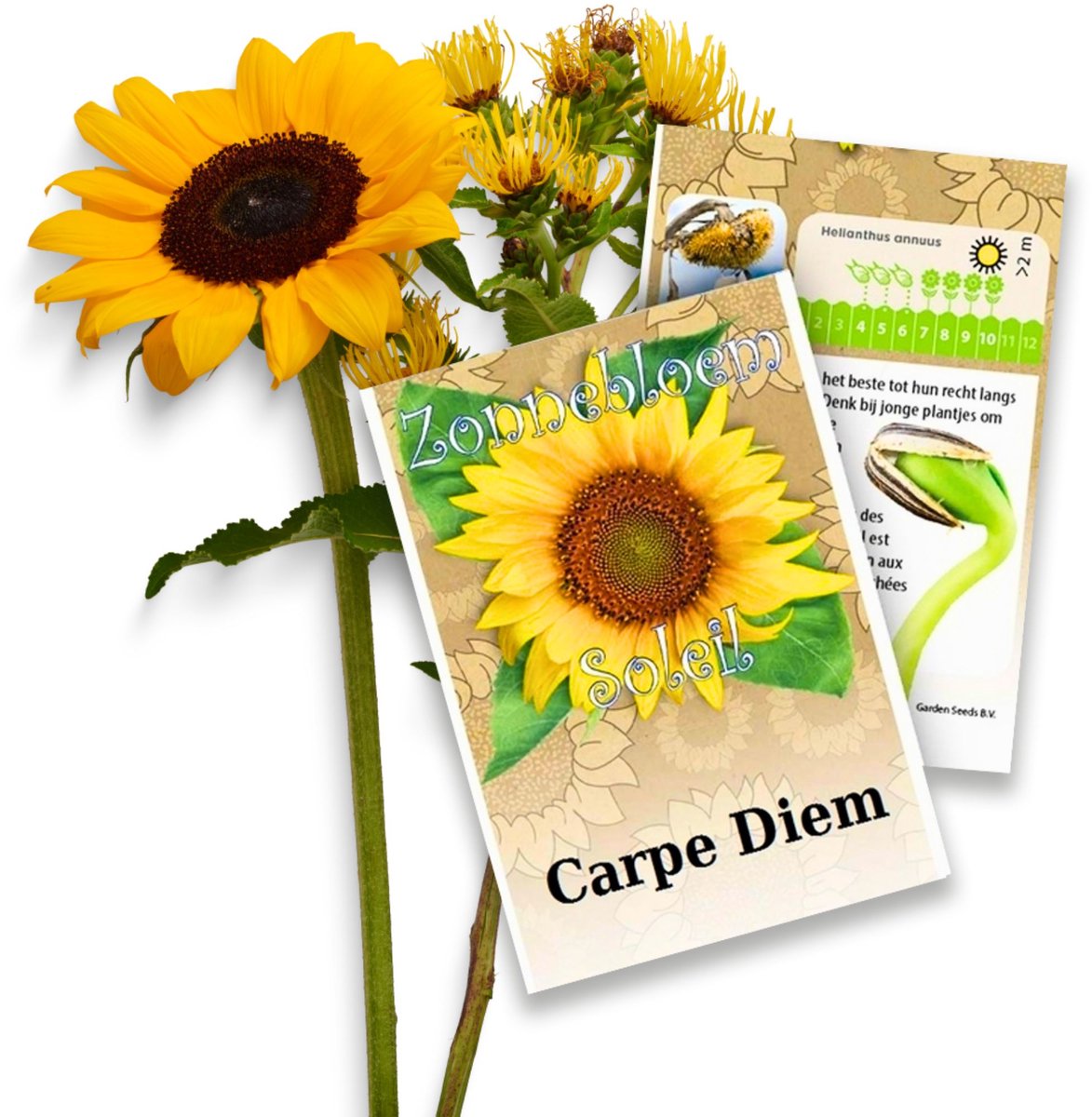 Zonnebloem (Helianthus annuus) - zakjes persoonlijk bedrukt - 1.500 stuks - Bijen-Vlinders - Snijbloemen - (Ook)-Voor in huis