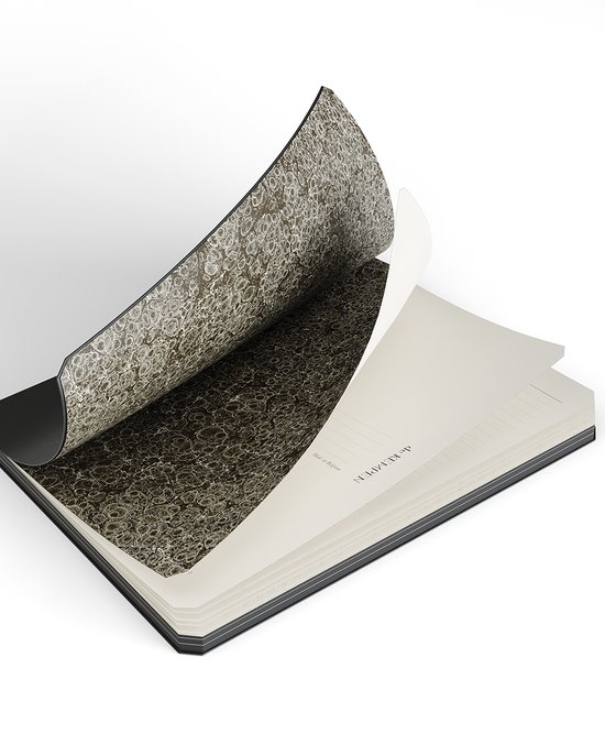 BREPOLS - Agenda Semainier Delta Noir - Couverture Plastique Genova - Janvier 2026 à Décembre 2026 - Dimension 9 X 13 Cm